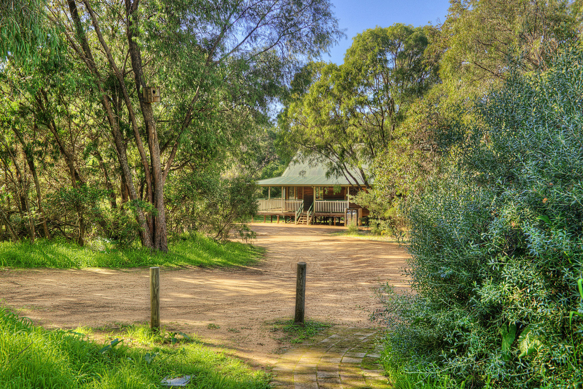 Yallingup Forest Resort Exteriér fotografie